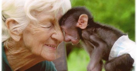 Anđeo čuvar: Žena koja je život posvetila spašavanju pavijana (FOTO)