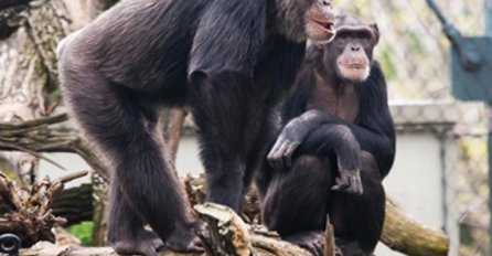 'Otišla sam s nećakinjom u zoo i doživjela užasnu neugodnost'