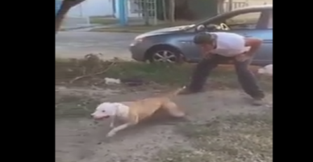 Ono što će ovaj pas da učini kad ga vlasnik pusti, ostavit će vas bez riječi (VIDEO)