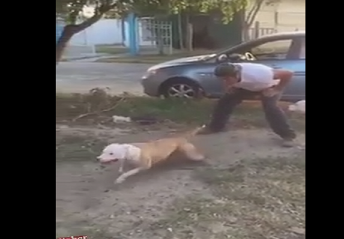 Ono što će ovaj pas da učini kad ga vlasnik pusti, ostavit će vas bez riječi (VIDEO)