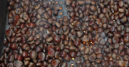 U Cazinu održana tradicionalna "Kestenijada 2015"