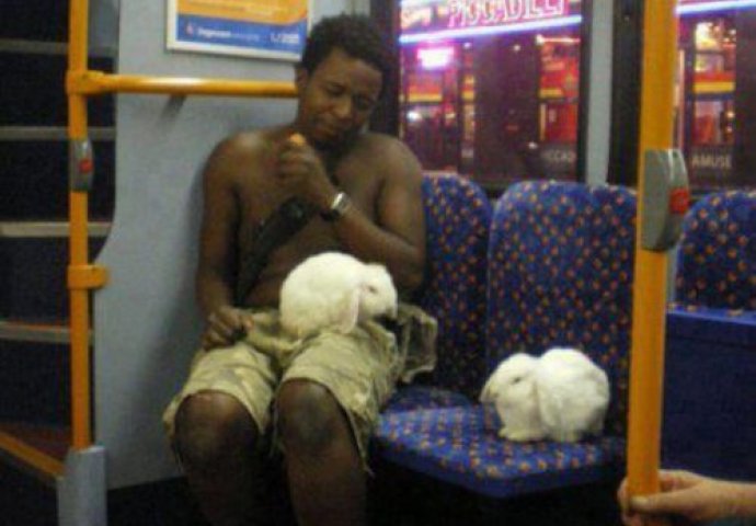 Evo šta sve možete vidjeti u javnom prijevozu, slika broj osam ostavlja bez teksta! 