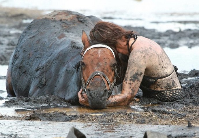 Konj se zaglavio u blatu pogledajte šta se dalje desilo (VIDEO)