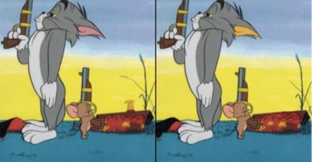 Samo 3 posto ljudi pronaći će više od 7 razlika na ovoj slici, da li ste među njima?