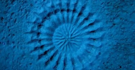 Iza ovih misterioznih krugova na dnu mora krije se priča koja je oduševila svijet! 