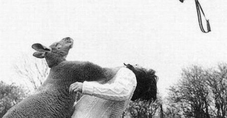 Nevjerovatne fotografije iz prošlosti koje su 'uhvaćene' u pravom trenutku! 