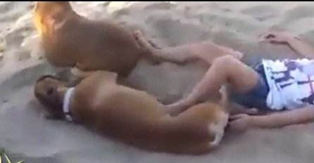 Šutnula je psa nogom, a onda je uslijedila njegova osveta! (VIDEO)