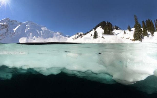 quiz-image55e859c9b435b