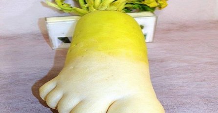 Iako ne liči na to - ovo je povrće, broj 5 liči na sve, ali na povrće ne (FOTO)