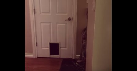 Ovo će vam popraviti dan: Vrata su se polako otvorila, a onda... (VIDEO) 