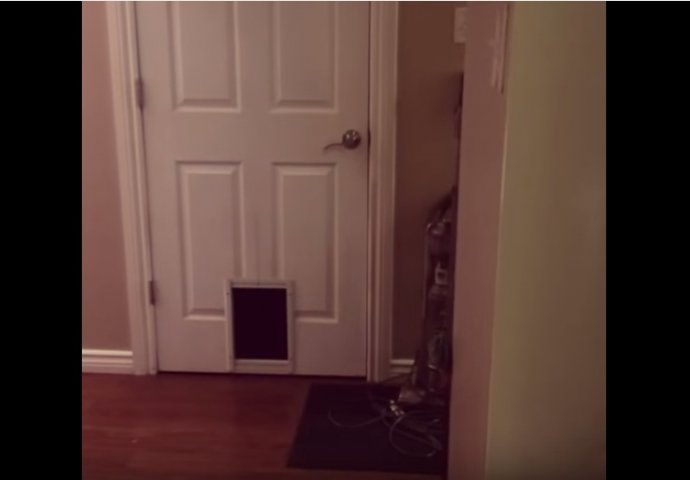 Ovo će vam popraviti dan: Vrata su se polako otvorila, a onda... (VIDEO) 