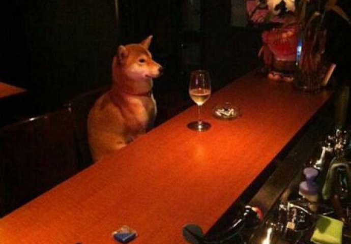 Niko ne zna kako su nastale ove fotografije i nemoguće ih je objasniti! 