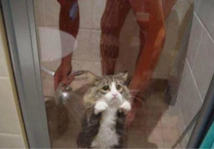 Niko ne zna kako su nastale ove fotografije i nemoguće ih je objasniti! 