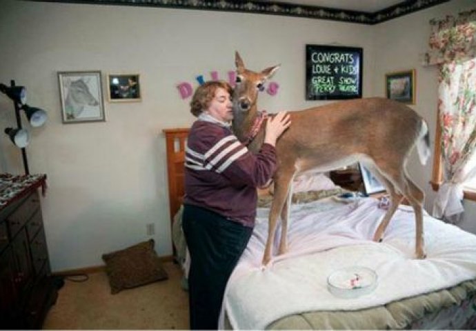 Niko ne zna kako su nastale ove fotografije i nemoguće ih je objasniti! 