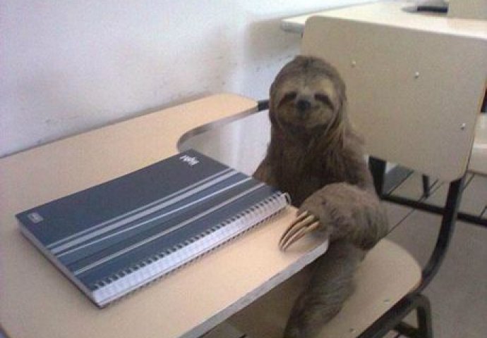 Niko ne zna kako su nastale ove fotografije i nemoguće ih je objasniti! 