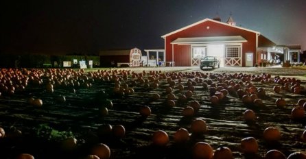 Fenomenalno: Izgleda kao obično skladište, ali sačekajte dok vidite unutrašnjost