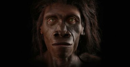 Od majmuna do čovjeka: Pogledajte kako je evolucija mijenjala ljudsko lice