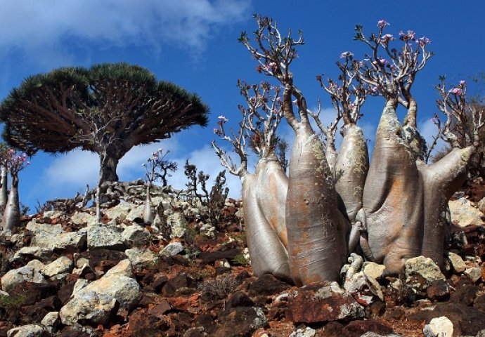 Najčudnija mjesta na svijetu 