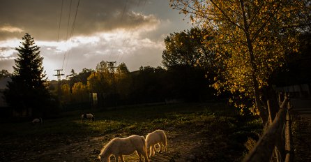 Kad fotoaparat prođe svijetom u jesen, dobije zadivljujuće fotografije - uvjerite se (FOTO)