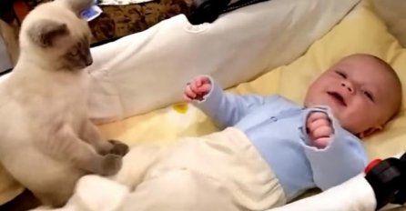 Dnevna doza slatkoće:  Mačka čuva bebu i tješi je (VIDEO) 