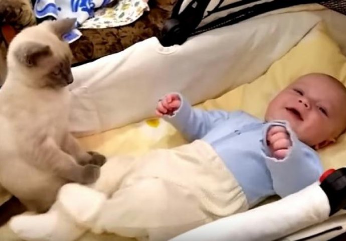 Dnevna doza slatkoće:  Mačka čuva bebu i tješi je (VIDEO) 