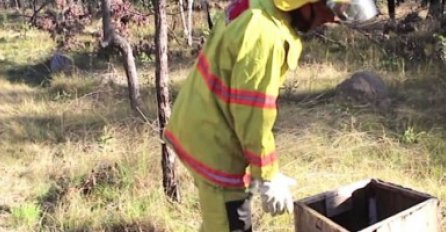 Pronašao je kutiju u šumi: Nakon toga njegov život se skroz promijenio (VIDEO) 