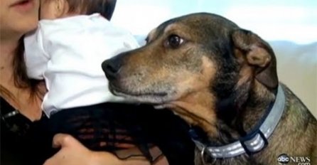 Beba je prestala da diše, pas je spasio njen život (VIDEO)