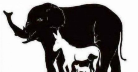 NAOŠTRITE VID: Pažljivo pogledajte svaki ugao fotografije, koliko životinja vidite?