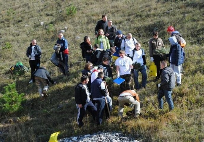 Hiljade vrijednih ruku zasadile desetine hiljada sadnica drveća širom BiH