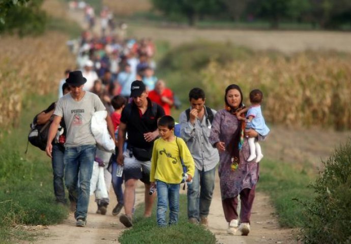 "Izbjeglice bez problema iz Srbije u Hrvatsku"