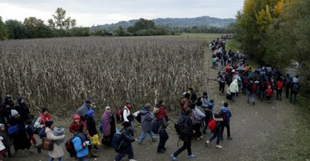  Izbjeglički val "balkanskom rutom" ne jenjava: Kroz Hrvatsku vozom, pa preko polja u Sloveniju