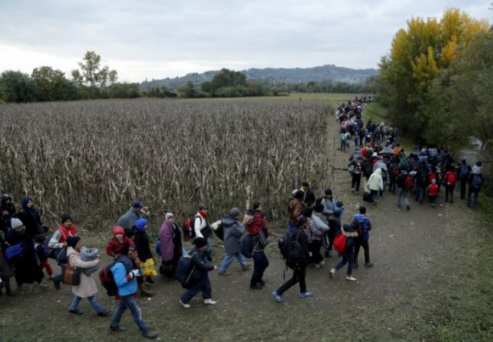  Izbjeglički val "balkanskom rutom" ne jenjava: Kroz Hrvatsku vozom, pa preko polja u Sloveniju