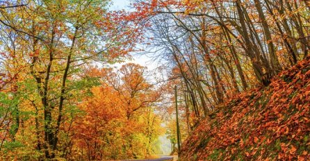 Bioprognoza: Sunčano vrijeme ugodno će djelovati na većinu ljudi