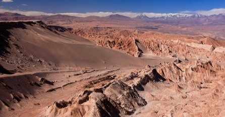Smrtonosna kiša pretvorila najsušniju pustinju u cvjetnu oazu