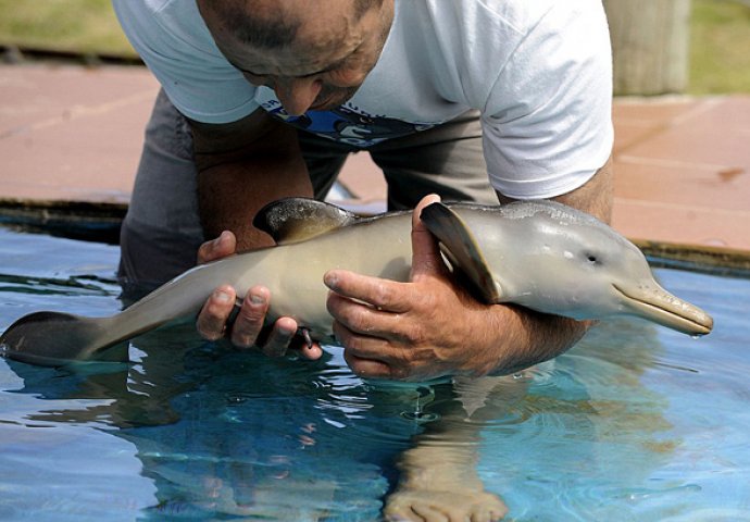 Dnevna doza slatkoće: Fotografije mladunčadi životinja koje će vam izmamiti osmijeh na lice