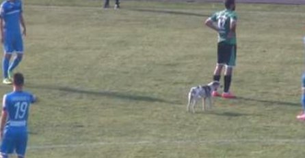 U Prijedoru pas na terenu, na tribinama povici "Ratko Mladić"