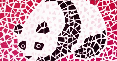 Da li ste se nekada pitali kako daltonisti vide boje? 