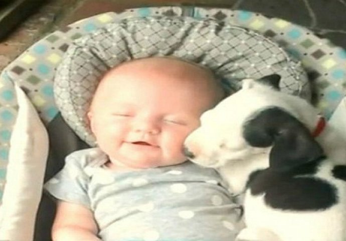 Ljubav ove bebe i pit bulla nikoga ne ostavlja bez osmijeha (VIDEO)
