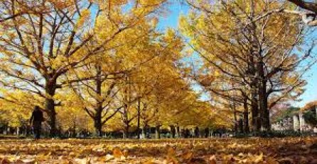 Današnja vremenska prognoza za BiH