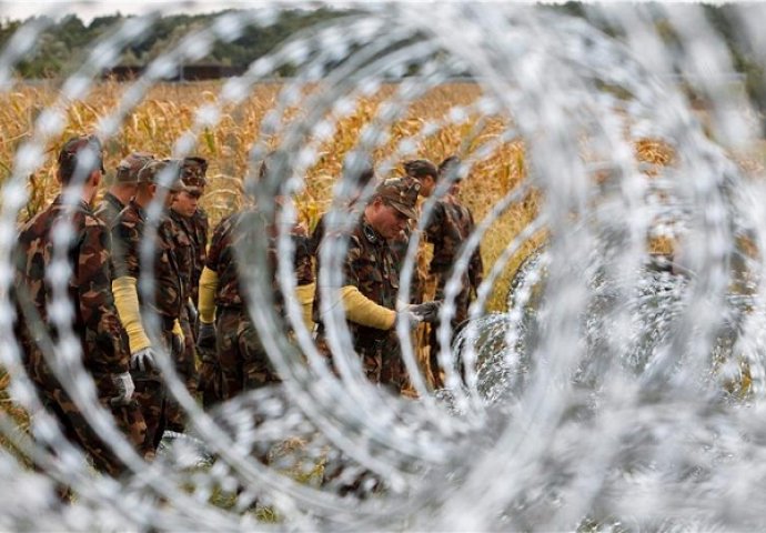 Žica je stigla: Slovenija podiže ogradu na granici s Hrvatskom