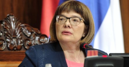 Gojković: Nećemo podizati zidove, potrebno rješenje EU