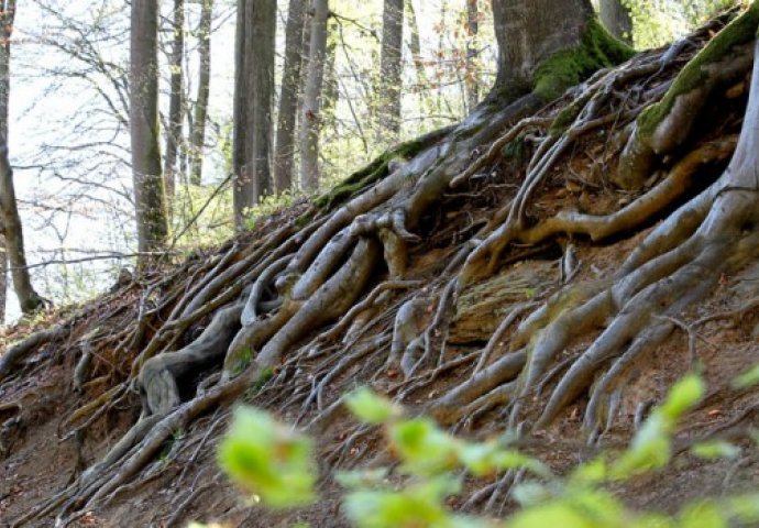 Rijetki su uspjeli: Na ovoj fotografiji je gola žena, a na vama je da je pronađete
