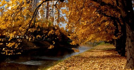 Danas sunčano u cijeloj BiH, temperatura do 23 stepena