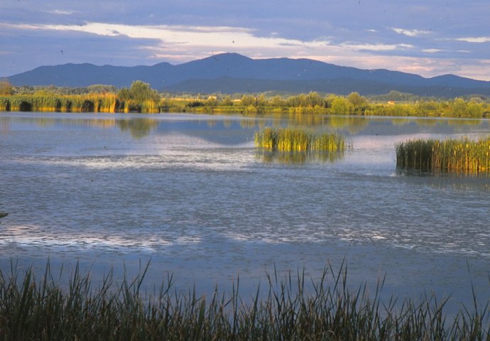 Lake Bardača