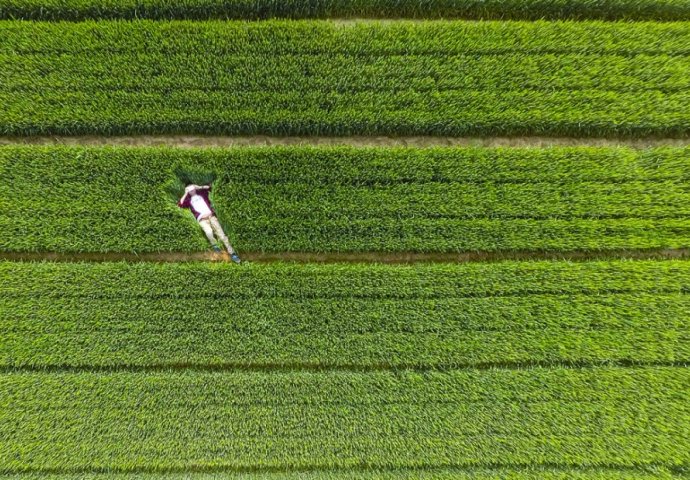 Pogledajte svijet iz ptičije perspektive: Najljepše fotografije snimljene bespilotnim letjelicama