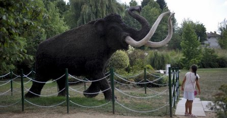 Danas će u "Pionirskoj dolini" biti predstavljene dvije nove replike iz ledenog doba