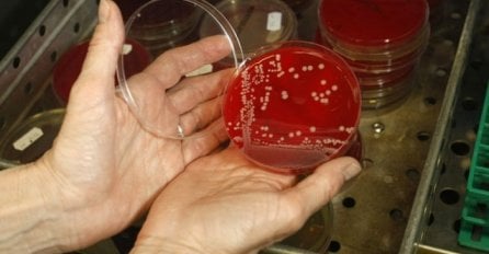  Ljudi će umirati zbog bakterije otporne na najjače antibiotike