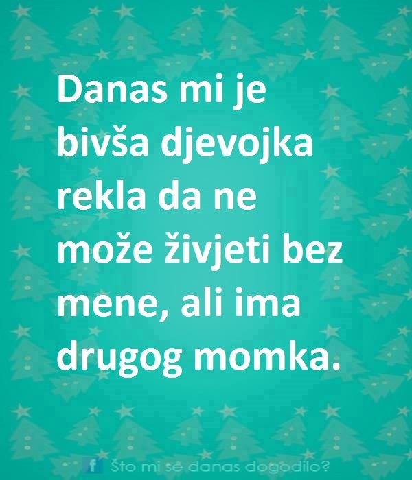 bivsa