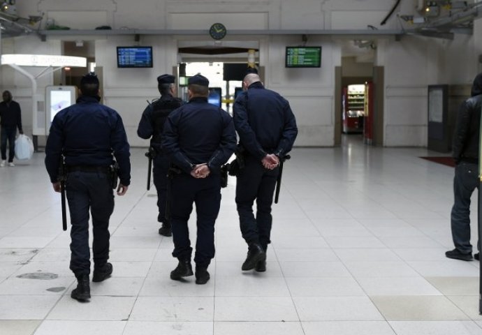 Golub prestrašio putnike na željezničkoj stanici u Parizu