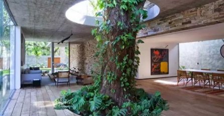 Kad čovjek poštuje prirodu: Pogledajte ove nevjerovatno inspirirajuće fotografije